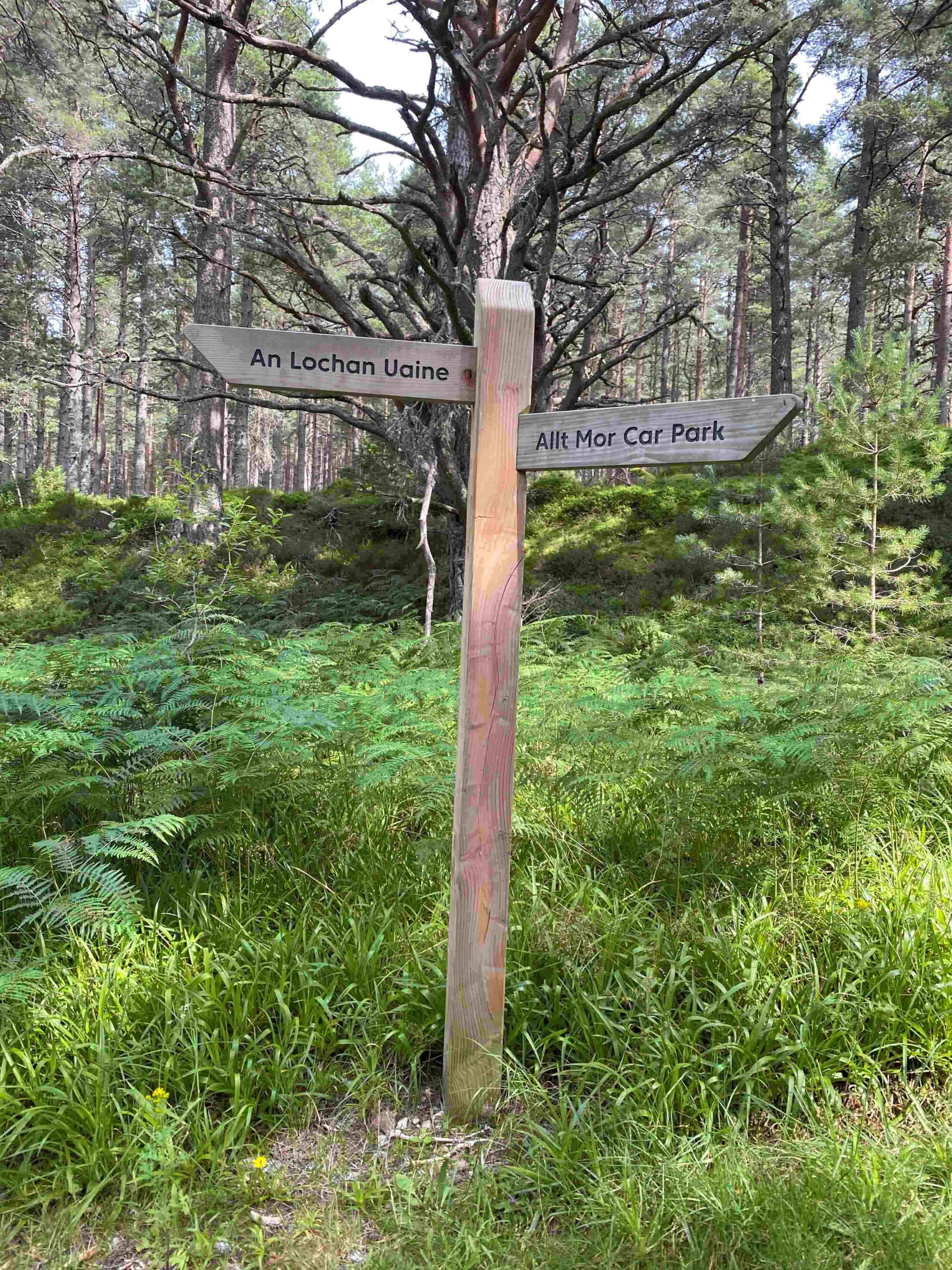 Lochan Uaine signpost