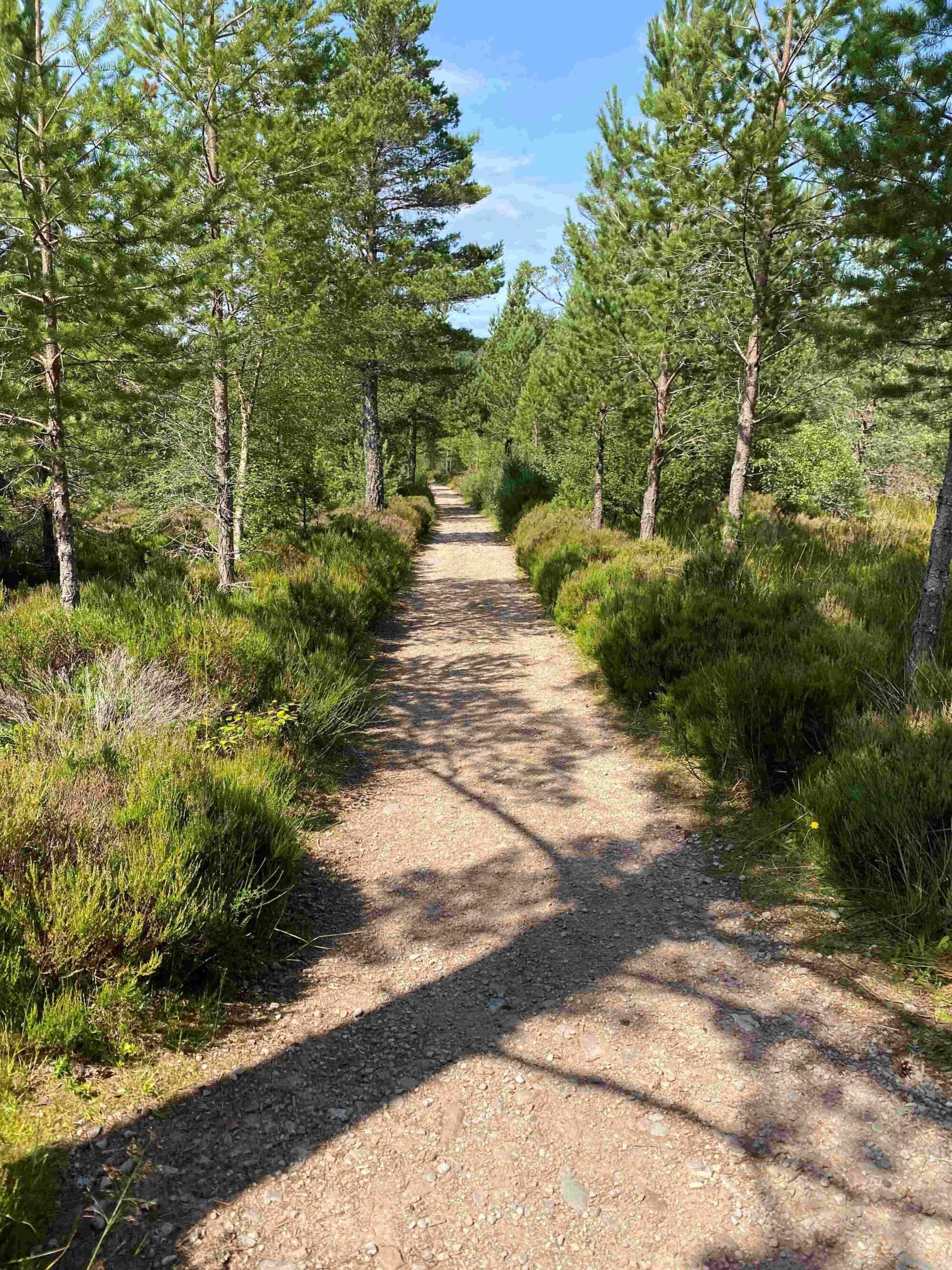 Lochan Uaine trail