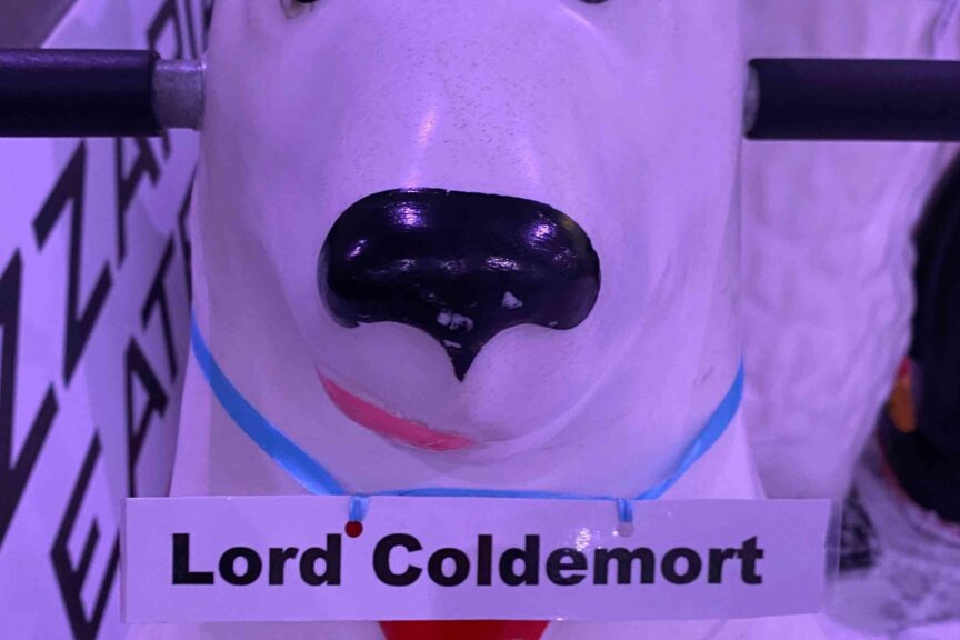 Coldemort